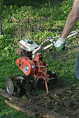 Use of a tiller to turn over the soil in a vegetable garden, spring work before planting