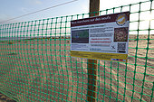 Fence and information panel for the protection of a nesting area for the Kentish Plover (Charadrius alexandrinus) during a period from 03/april to 09/september of each year, on the beach of Sérignan, bank of the Grande Maïre pond, Plage de Sérignan, Hérault, France