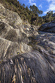 The Gardon de Sainte Croix in the Cevennes, Very old Cambrian/Ordovician micaschists deformed by Hercynian tectonics, Le Martinet, St Etienne Vallée Française, Cévennes, France