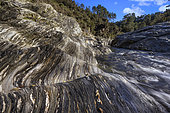 The Gardon de Sainte Croix in the Cevennes, Very old Cambrian/Ordovician micaschists deformed by Hercynian tectonics, Le Martinet, St Etienne Vallée Française, Cévennes, France
