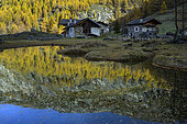 Le Monal in autumn. This hamlet of traditional chalets dating from the 18th and 19th centuries is located on the adret, in the Haute Tarentaise, facing the Mont Pourri glaciers, in the Vanoise Park. This site is classified as being of natural and heritage interest and is situated at an altitude of 1874 m. Alps, France