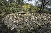 Neolithic tomb of Peyraube, in the Cévennes. Necropolis of Peyraube, in the region of Alès: mounds with a central chest, dating from the end of the Neolithic to the Iron Age. Galeizon Valley, Cévennes, Gard, France