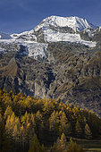 The Monal site and Mount Pourri in autumn. Mistakenly called Mont Tourné or Mont Thuria in the writings of the time, Mont Pourri is located on the northern slopes of the Vanoise where it dominates the hamlets of La Gurraz and Le Monal in Saint-Foy-Tarentaise. Its altitude, which reaches 3,779 metres, makes it the second highest peak in the massif behind the Grande Casse (3,855 metres). Alps, France