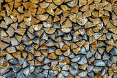 Tas de bois de hêtre dans le Vercors, Plateau de Saint Julien en Vercors, PNR du Vercors, Isère, France