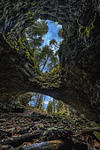 Grotte de la cheminée, dans le Vercors, vaste cavité creusée dans le calcaire urgonien, dont le plafond s'est effondré (doline) créant ainsi une remarquable fenêtre à proximité de l'entrée de la grotte, Plateau d'Herbouilly, PNR du Vercors, Isère, France