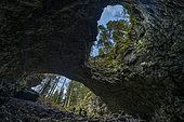 Chimney cave, in the Vercors, vast cavity dug in the Urgonian limestone, whose ceiling has collapsed (doline) thus creating a remarkable window near the entrance of the cave, Plateau d'Herbouilly, PNR du Vercors, Isère, France