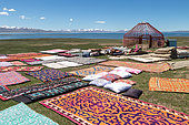 Installation of the yurt camp, carpet, yurt frame with Son-kul lake in the background, Kyrgyzstan