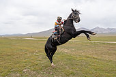 Prancing horse in the steppe with its young rider, Son Kul, Kyrgyzstan