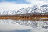 Mountain reflected in a lake in winter in Ladakh