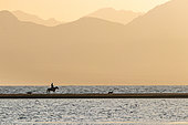 Rider at Son-kul lake crossing on a peninsula in the evening light, Kyrgyzstan