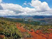 Mining scrub and tropical forest, Blue River Park, New Caledonia
