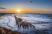 Breakwater posts protecting the dune of Wissant at sunset, Opal Coast, Pas de Calais, France