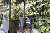 Children visiting the Asian forest of the Parc de la Tête d'Or in Lyon, a 7,000 square meter space that opened in July 2021 and showcases small, little-known and endangered species. Observation of the cage of the rhinoceros racer snake, Lyon, France.