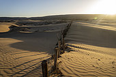 Sand dunes located north of Essaouira and retained built with branches of arbutus by the water and forestry service to retain the movement of sand to the city of Essaouira. The silting up of the city has intensified as a result of one of the effects of climate change, the intensification of strong winds transporting sand from the dunes located north of the city, Essaouira, Morocco.