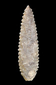 Arrowhead in chipped stone. Neolithic period. Found between 1970 and 1980 in the southern Sahara at El Golea Timimoun, eastern erg. Algeria. 7,1 cm.