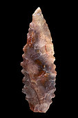 Toothed shape. Arrowhead in chipped stone. Neolithic period. Found between 1970 and 1980 in the southern Sahara at El Golea Timimoun, eastern erg. Algeria. 4,6 cm.