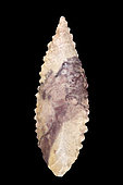 Toothed shape. Arrowhead in chipped stone. Neolithic period. Found between 1970 and 1980 in the southern Sahara at El Golea Timimoun, eastern erg. Algeria. 4,2 cm.