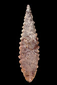Toothed shape. Arrowhead in chipped stone. Neolithic period. Found between 1970 and 1980 in the southern Sahara at El Golea Timimoun, eastern erg. Algeria. 4,5 cm.