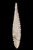 Toothed shape. Arrowhead in chipped stone. Neolithic period. Found between 1970 and 1980 in the southern Sahara at El Golea Timimoun, eastern erg. Algeria. 4 cm.