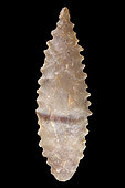 Toothed shape. Arrowhead in chipped stone. Neolithic period. Found between 1970 and 1980 in the southern Sahara at El Golea Timimoun, eastern erg. Algeria. 4,2 cm.