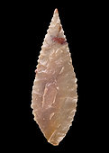 Toothed shape. Arrowhead in chipped stone. Neolithic period. Found between 1970 and 1980 in the southern Sahara at El Golea Timimoun, eastern erg. Algeria. 4,5 cm.