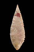 Toothed shape. Arrowhead in chipped stone. Neolithic period. Found between 1970 and 1980 in the southern Sahara at El Golea Timimoun, eastern erg. Algeria. 4,5 cm.