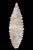 Toothed shape. Arrowhead in chipped stone. Neolithic period. Found between 1970 and 1980 in the southern Sahara at El Golea Timimoun, eastern erg. Algeria. 4,4 cm.