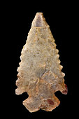 Toothed shape. Arrowhead in chipped stone. Neolithic period. Found between 1970 and 1980 in the southern Sahara at El Golea Timimoun, eastern erg. Algeria. 3 cm.