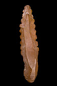 Serrated flint knife. Neolithic period. North Africa. 16,2 cm.