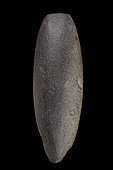 Polished basalt axe. North Africa, Neolithic. 13.1 cm.