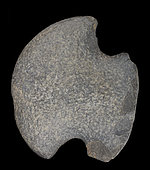 Basalt Throat Axe. Neolithic period. North Africa. 11cm.