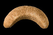 Bracelet fragment. Sandstone. Mali, Neolithic. 4 inches.