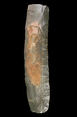Two-edged curve gouge in green jasper. mali. Neolithic. 16.2cm.