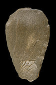 Green jasper scraper. Neolithic period. Mali. 7cm.