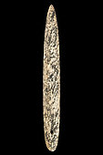 Needle. Neolithic period. North Africa. 15cm.