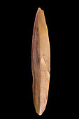 Flint labret. Mali, Neolithic. 5cm.