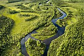 Drone view, aerial photo of a river loop, meander of the Kapsajoki in the boreal arctic forest, Kittilä, Lapland, Finland, Europe