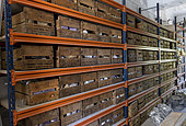 Luc Ebbo, paleontologist. Shelving and storage of raw specimens. Ebbo collection