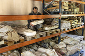 Luc Ebbo, paleontologist. Shelving and storage of vertebrate skeletons where the various parts were taken from plaster casings. Ebbo collection