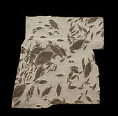 Austrian Triassic (Norian) fish cemetery in the Salzburg region resulting from the drying up of a lagoon. Heterolepidotus ornatus and Heterolepidotus dorsalus. 1 m. Collection Luc Ebbo, paleontologist. Paleogalerie, Salignac. Ebbo collection
