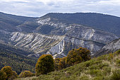 Barremian stage (115-120 million years) represented in the region by large cliffs made up of a regular alternation of round strata in turn limestone then clay over more 150 meters deep. Ebbo collection