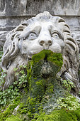 Marble lion's head covered in moss and various other plants, Fontaine de l'Intendance, Montpellier, Herault, France