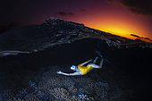 Female snorkeler above the reef at sunset, S Pass, Mayotte
