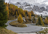 Mountain road leading up to Groedner Joch - Passo Gardena from the Groeden valley - Val Badia in the Dolomites of South Tyrol - Alto Adige. View towards mount Sella. The Dolomites are listed as UNESCO World heritage. europe, central europe, italy, october