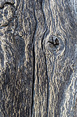 Antique Oak beam detail