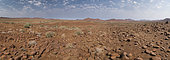 Arid landscape of Palmwag Concession, Namibia