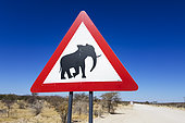 Caution elephant crossing sign, Madisa Camp, Damaraland, Namibia