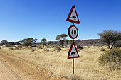 Caution cheetah and jackal sign at the edge of a track, Okonjima private game reserve, Namibia
