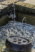 Small fountain with water jets in garden pond