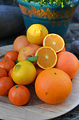Mixed citrus fruits